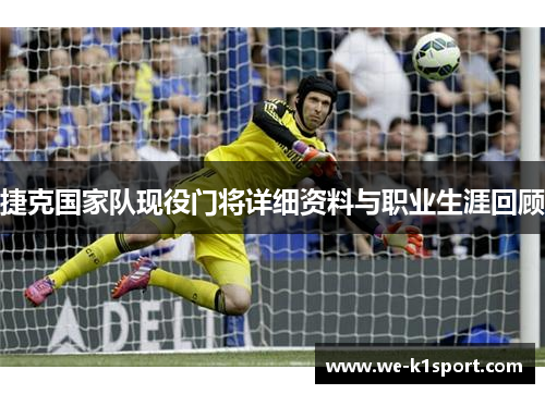 捷克国家队现役门将详细资料与职业生涯回顾